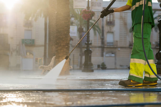 Best Gutter Cleaning  in Montrose, MN